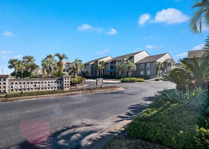 Needle Rush Point Unit A15 * Pensacola